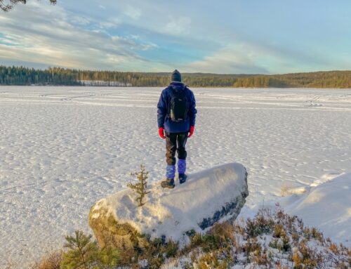 Van het Skålsjön naar de Noors-Zweedse grens