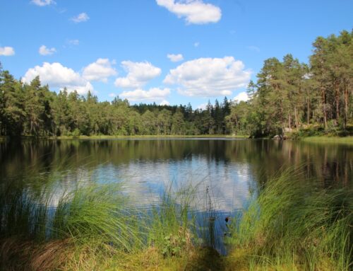 Småland: ‘klein’ land met rijke natuur en cultuur